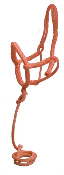 6800: Showman ® Nylon rope shipping halter with 8' lead Nylon Halter Showman