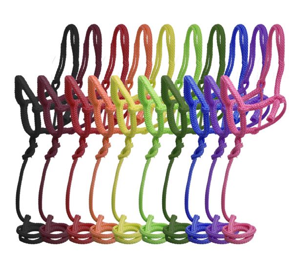 6800: Showman ® Nylon rope shipping halter with 8' lead Nylon Halter Showman