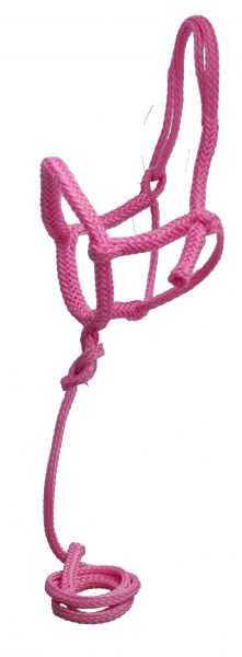 6800: Showman ® Nylon rope shipping halter with 8' lead Nylon Halter Showman