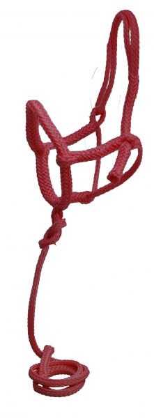 6800: Showman ® Nylon rope shipping halter with 8' lead Nylon Halter Showman