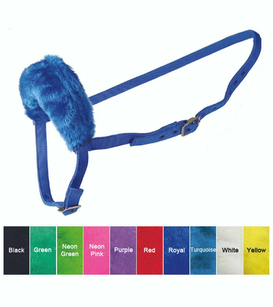 Thoroughbred Shadow Roll