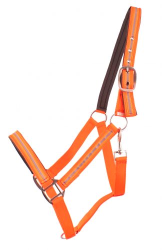 74102: Showman ® Full Horse Size Reflective Neoprene Lined Halter Primary Showman
