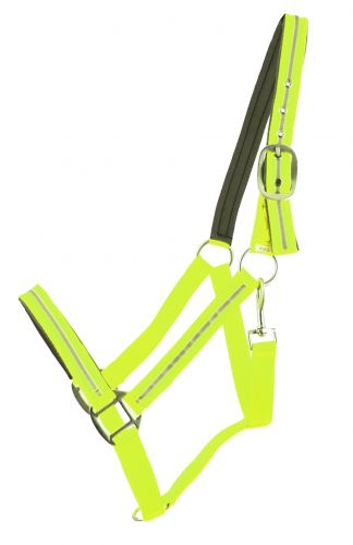 74102: Showman ® Full Horse Size Reflective Neoprene Lined Halter Primary Showman