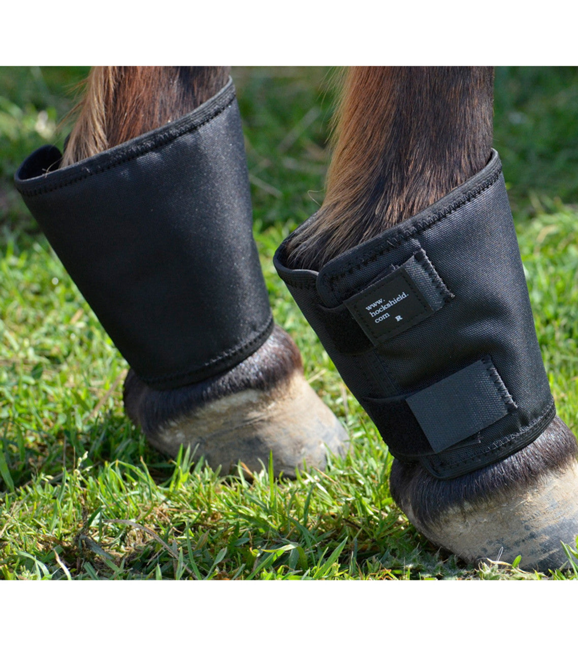 Click Fetlock Shield-TexanSaddles.com