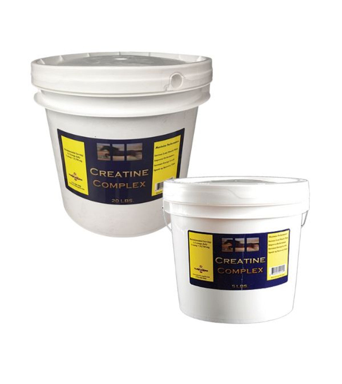 Creatine Complex-TexanSaddles.com