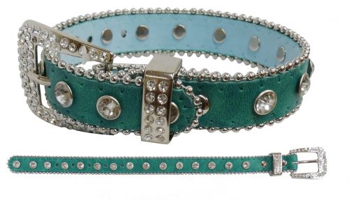 D022T: Showman Couture ™ Teal leather fashion dog collar with crystal rhinestones and a crystal rh Primary Showman
