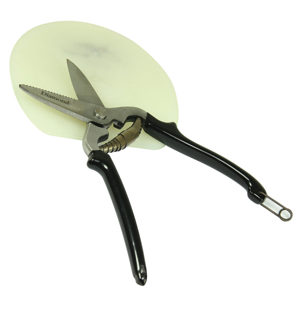 Diamond® Pad Shears 9"-TexanSaddles.com
