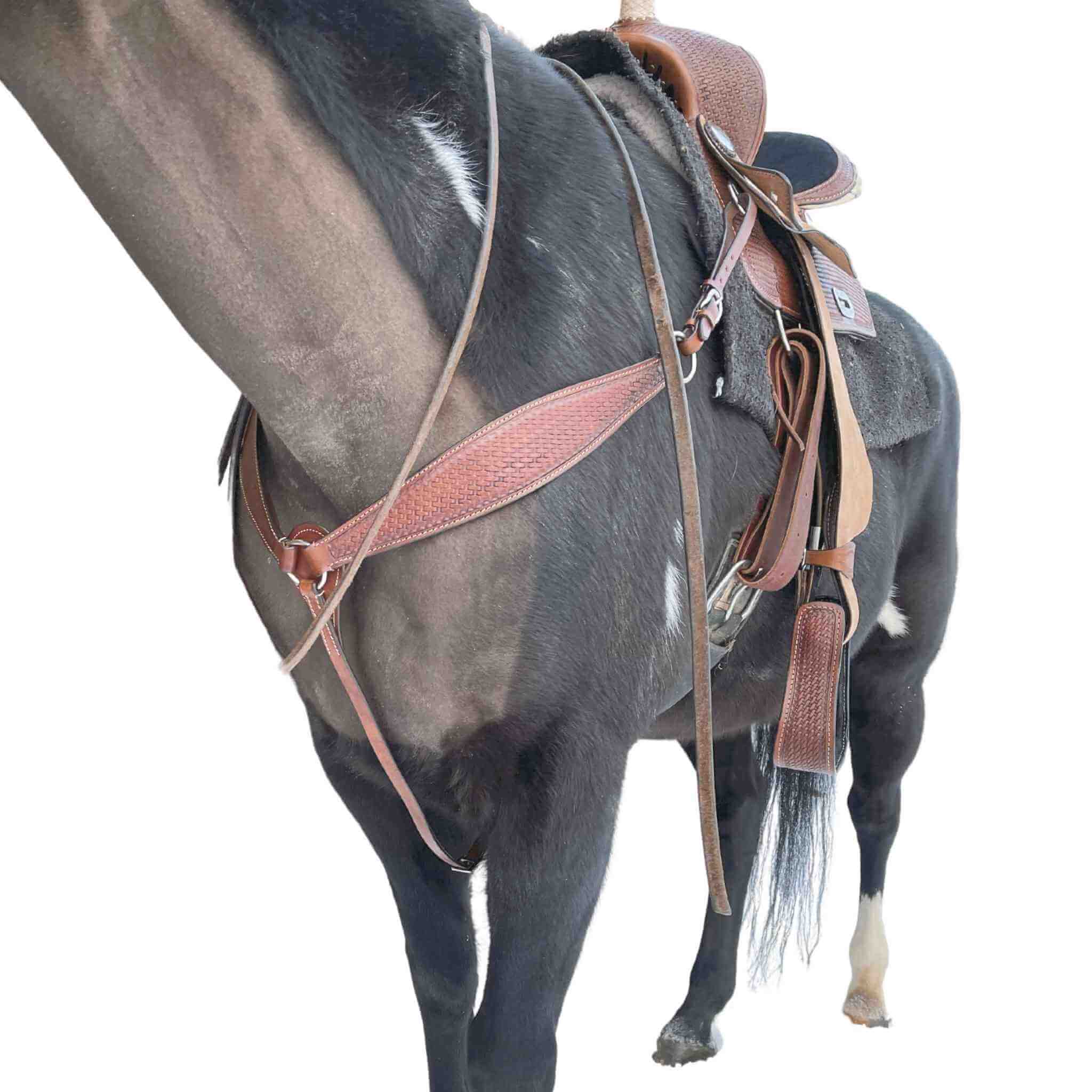 Double T Barrel Saddle W/ Matching Headstall & Breast Collar 7654 Saddle Set Double T