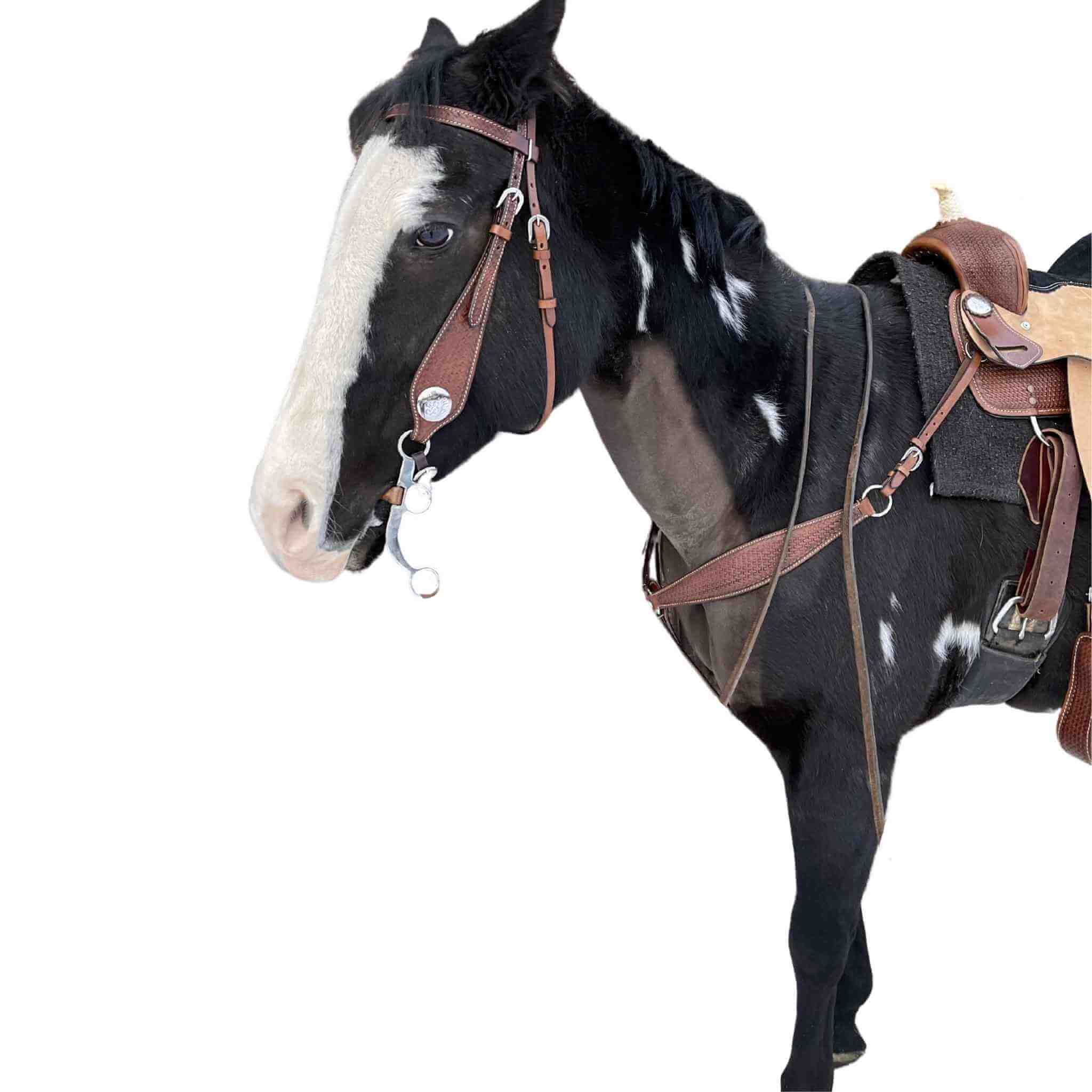 Double T Barrel Saddle W/ Matching Headstall & Breast Collar 7654 Saddle Set Double T