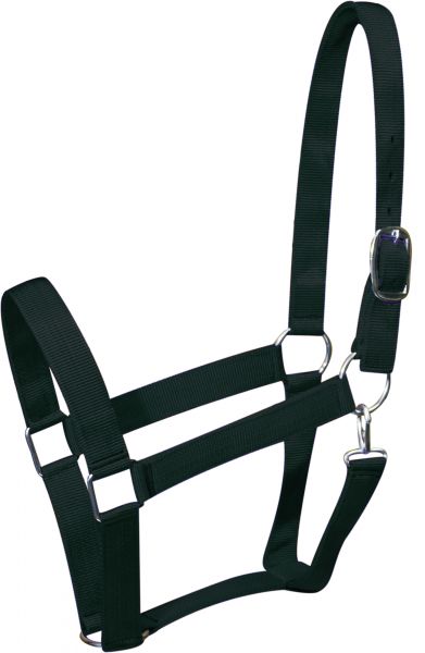 Draft horse size nylon halter Default Shiloh