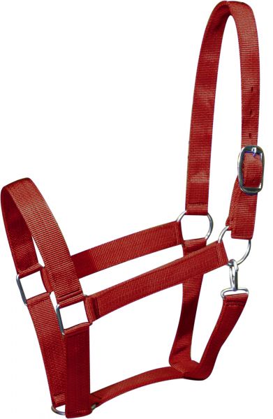 Draft horse size nylon halter Default Shiloh