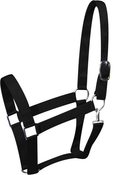 Draft horse size nylon halter Default Shiloh