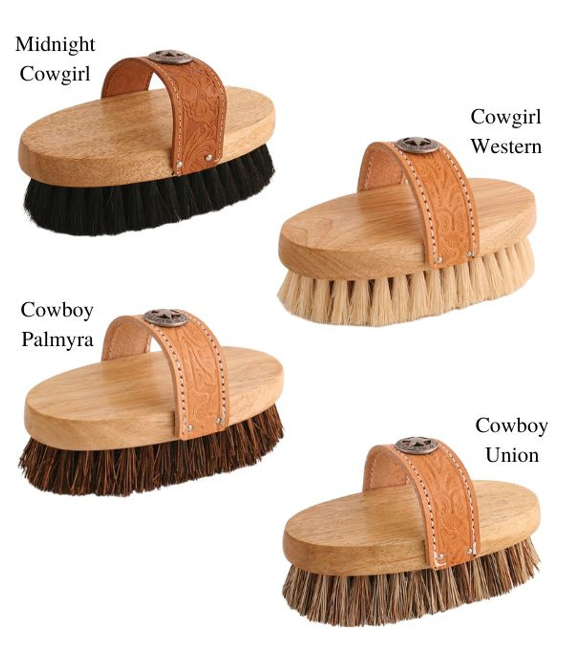 Equestria Legends Brush 7-1/2"-TexanSaddles.com