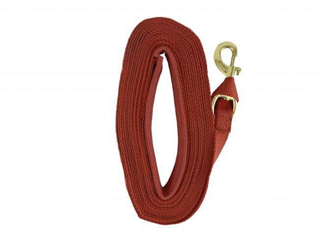Heavy Duty 25' Web lunge line with padded handle Default Shiloh
