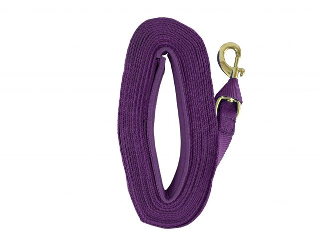 Heavy Duty 25' Web lunge line with padded handle Default Shiloh