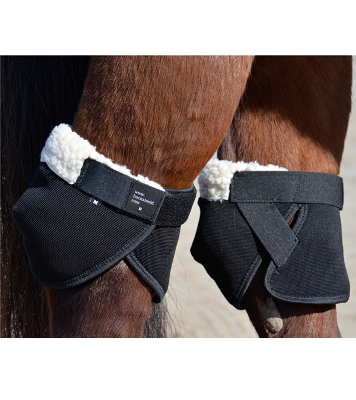 Hock Shield Ultra-TexanSaddles.com