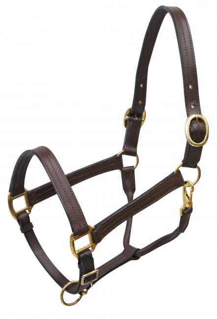 Large horse size (1100-1600lbs) leather halter with brass hardware Default Shiloh