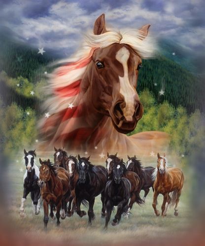 "Patriotic Stomp" luxury silk touch throw with sherpa lining Default Shiloh