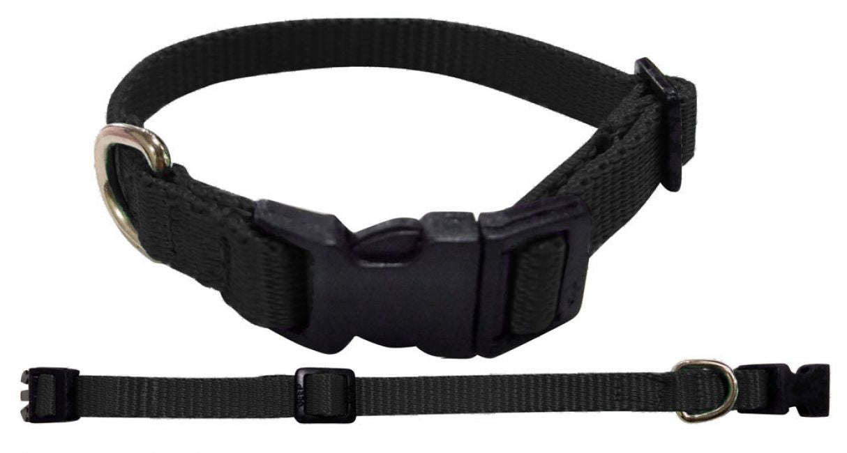 Showman Couture ® Extra Small Nylon dog collar Default Shiloh