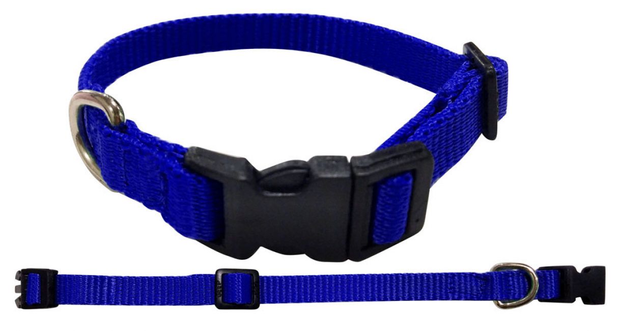 Showman Couture ® Extra Small Nylon dog collar Default Shiloh