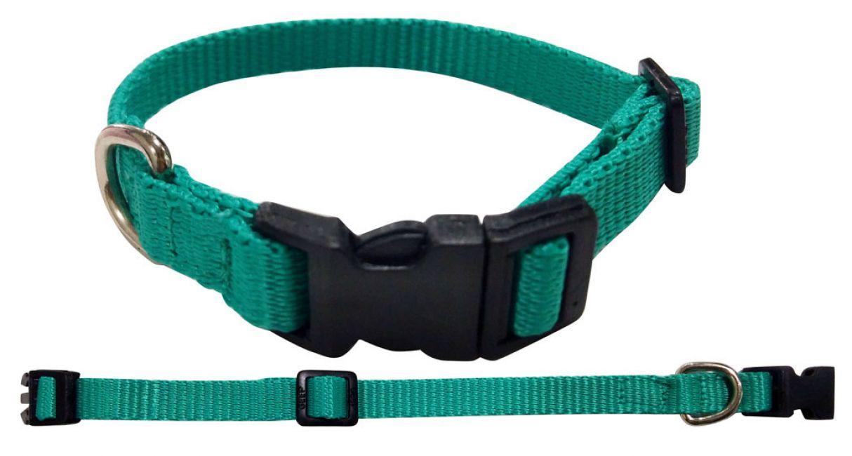 Showman Couture ® Extra Small Nylon dog collar Default Shiloh