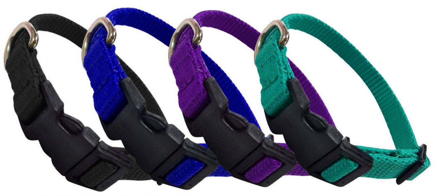 Showman Couture ® Extra Small Nylon dog collar Default Shiloh