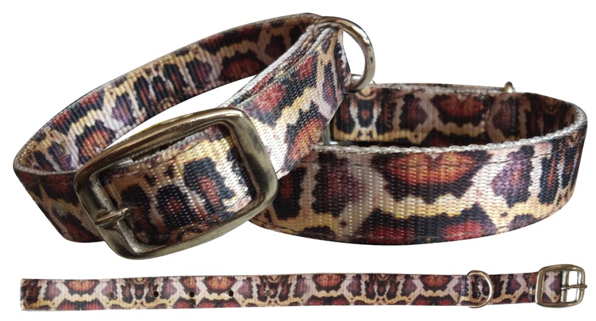 Showman Couture ® Python designed nylon dog collar Default Shiloh
