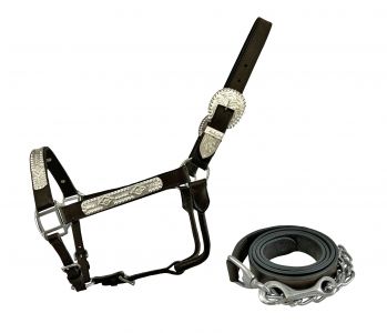 Showman Leather Show Halter w/ Silver Accents Show Halter Showman
