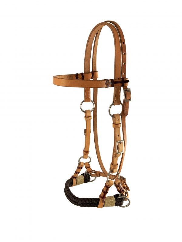 Showman ® Argentina Cow Leather Light Oil leather side pull Default Shiloh
