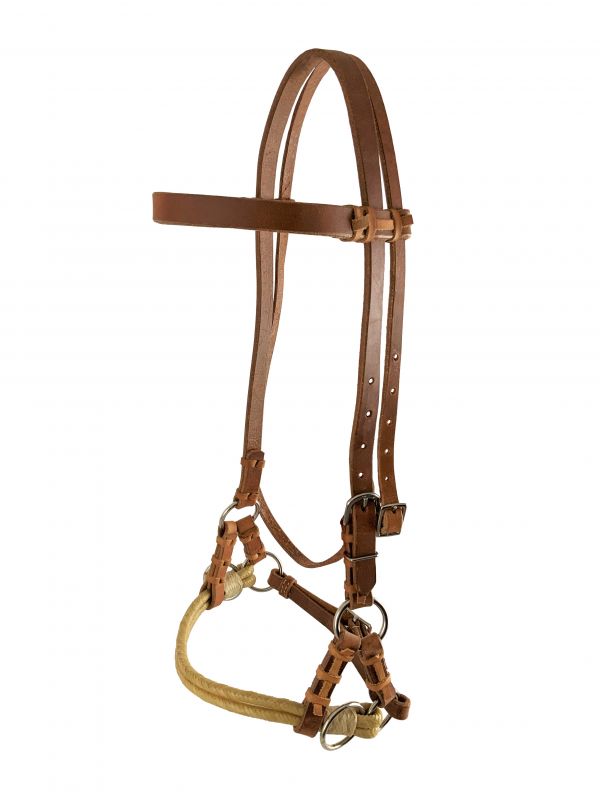 Showman ® Argentina Cow Leather Oiled Harness leather side pull Default Shiloh