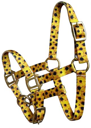 Showman ® Premium nylon sunflower halter with brass hardware Default Shiloh