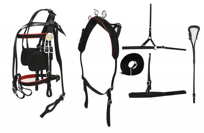 Small to Medium Pony Leather Show Harness Set Default Shiloh
