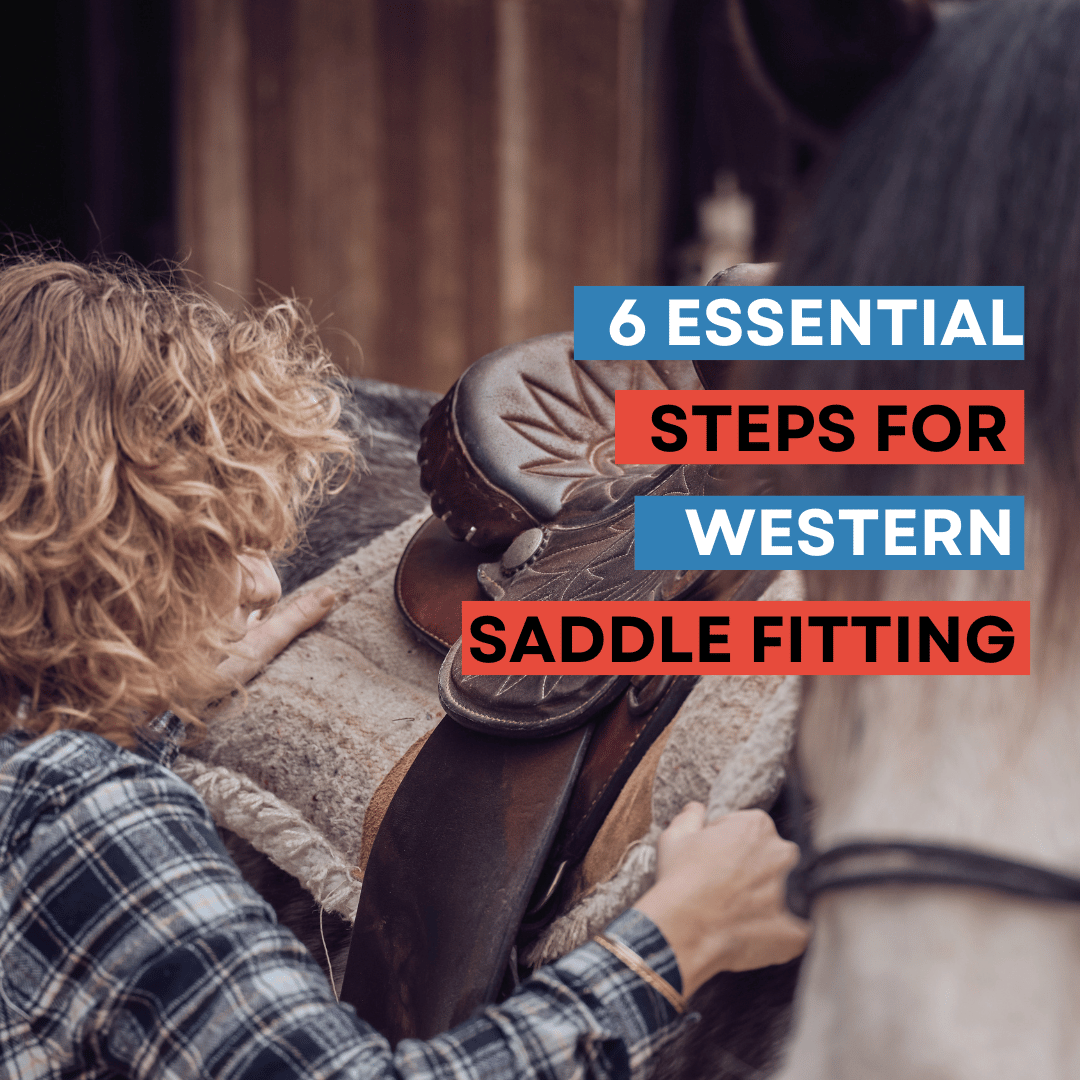6 Essential Steps for Proper Western Saddle Fitting Blog Banner