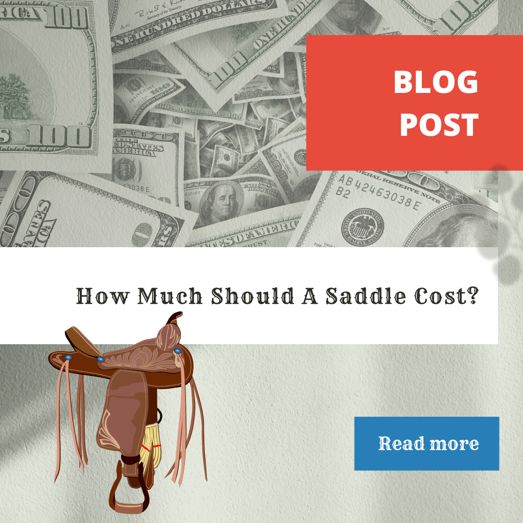 Western Saddle With Money Background "How Much Should A Saddle Cost?"