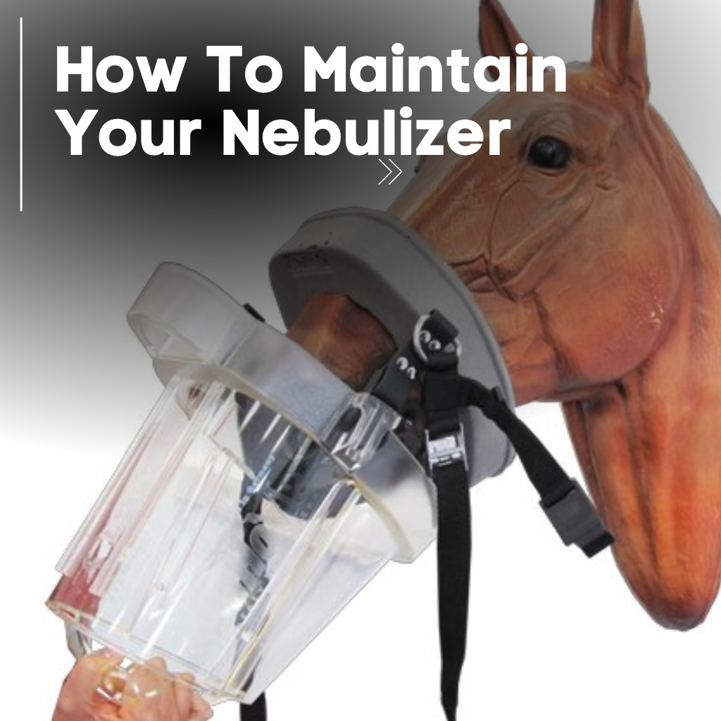 Using and Maintaining Your Horse Nebulizer