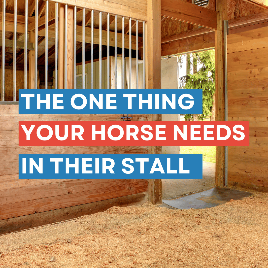 Horse Stall Mats Buying Guide
