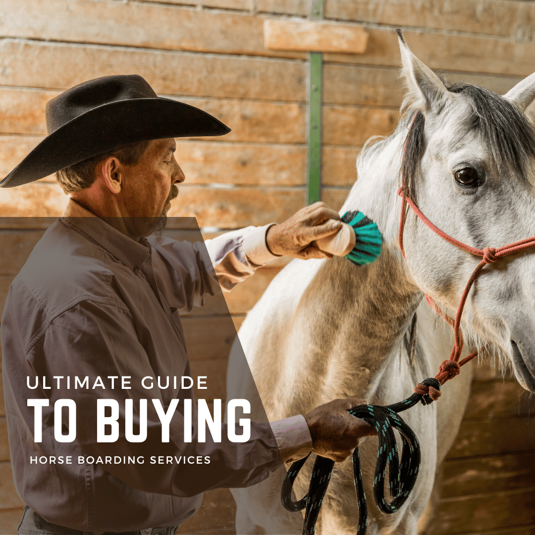 The Ultimate Guide To Buying Horse Boarding Services Blog Banner