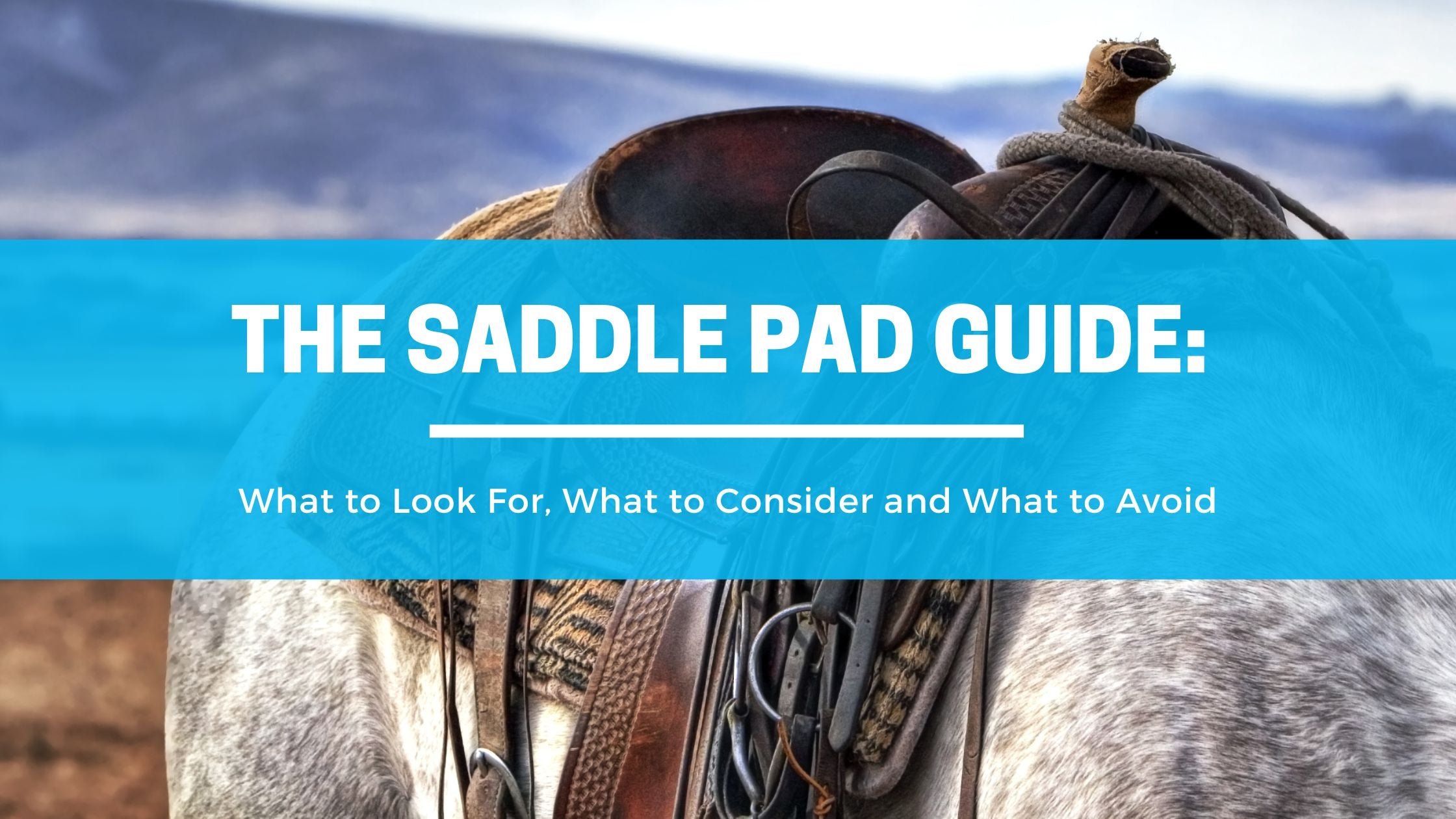 The Saddle Pad Guide: What to Look For, What to Consider and What to Avoid