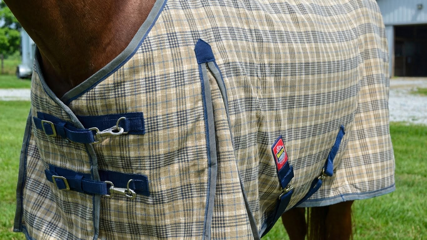 5/A Baker Plaid Horse Blanket On Brown Horse