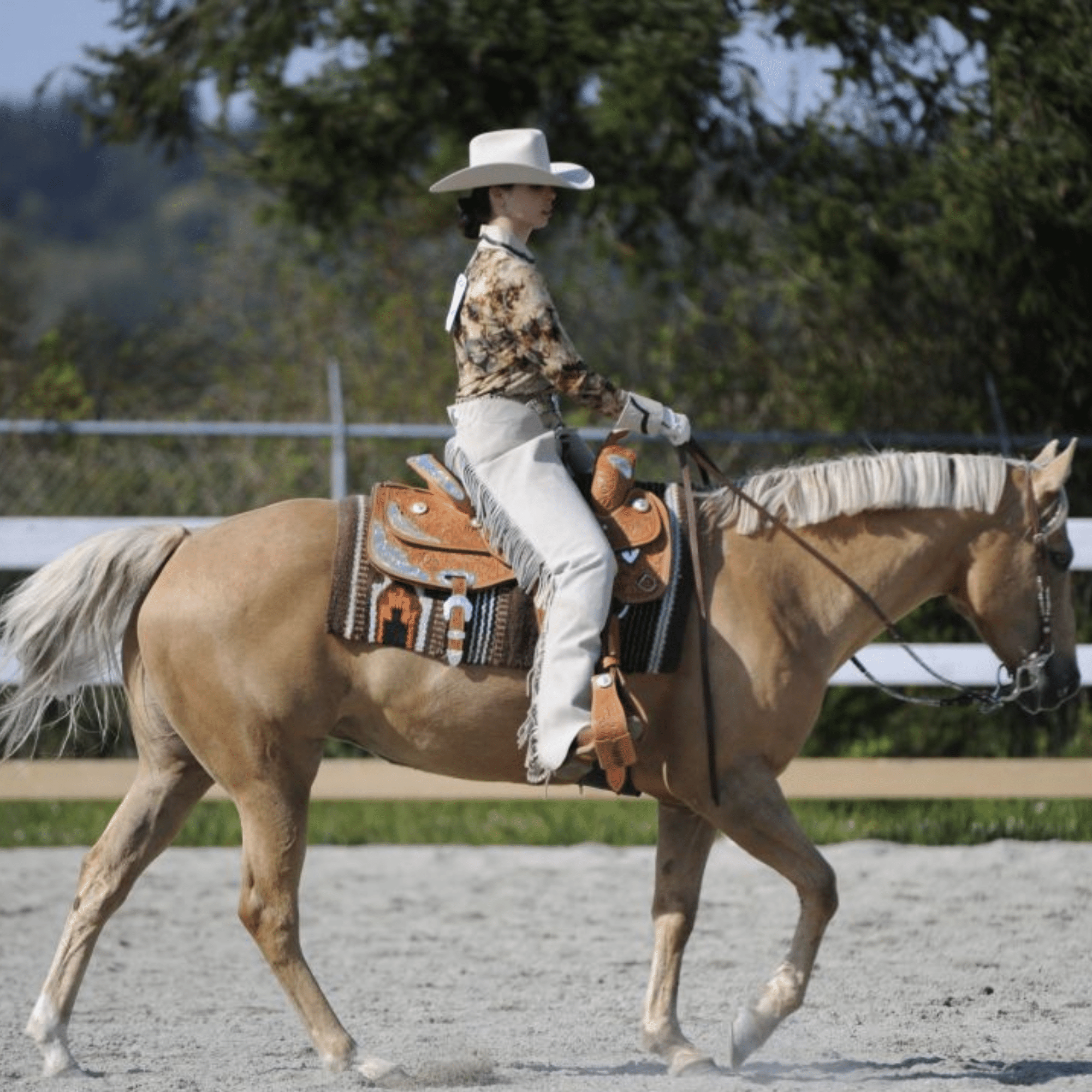 Western Show Saddles Texan Saddles Horse Saddle Retailer