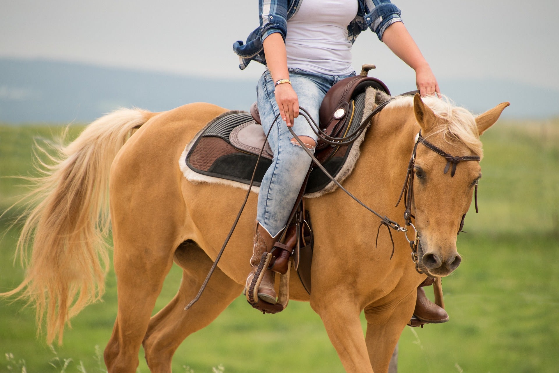 women riding western horse saddle saddle pad brown horse