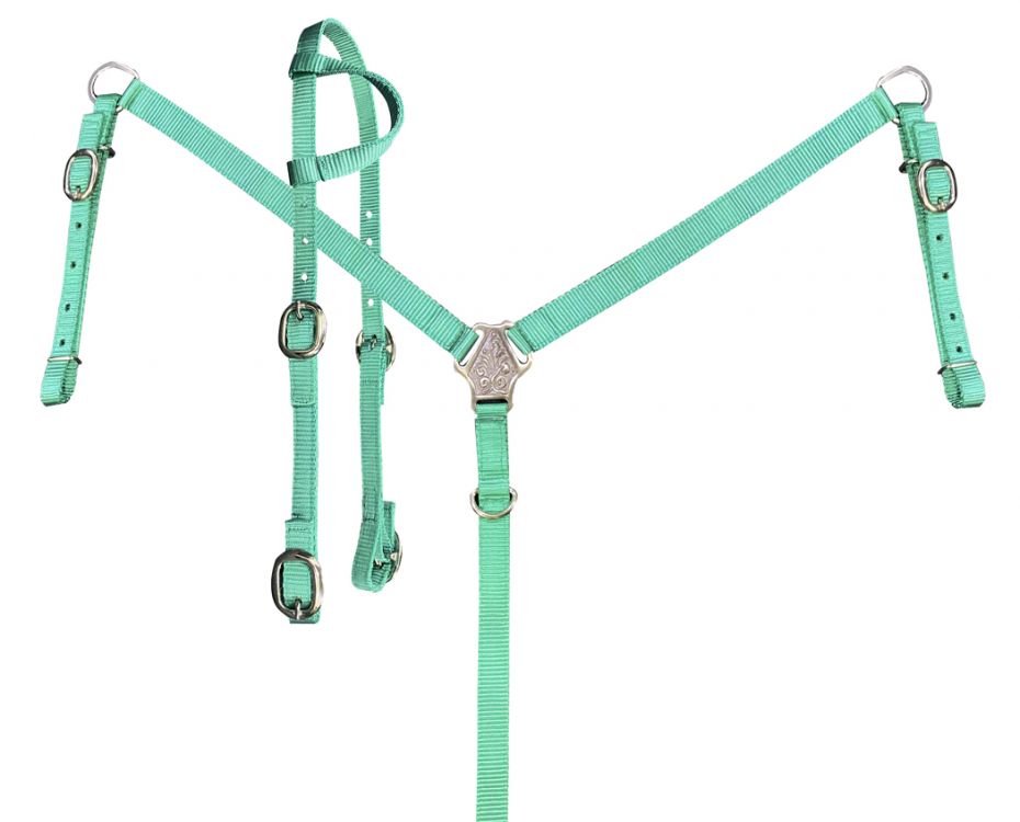 Showman Nylon One ear Headstall and Breast collar set