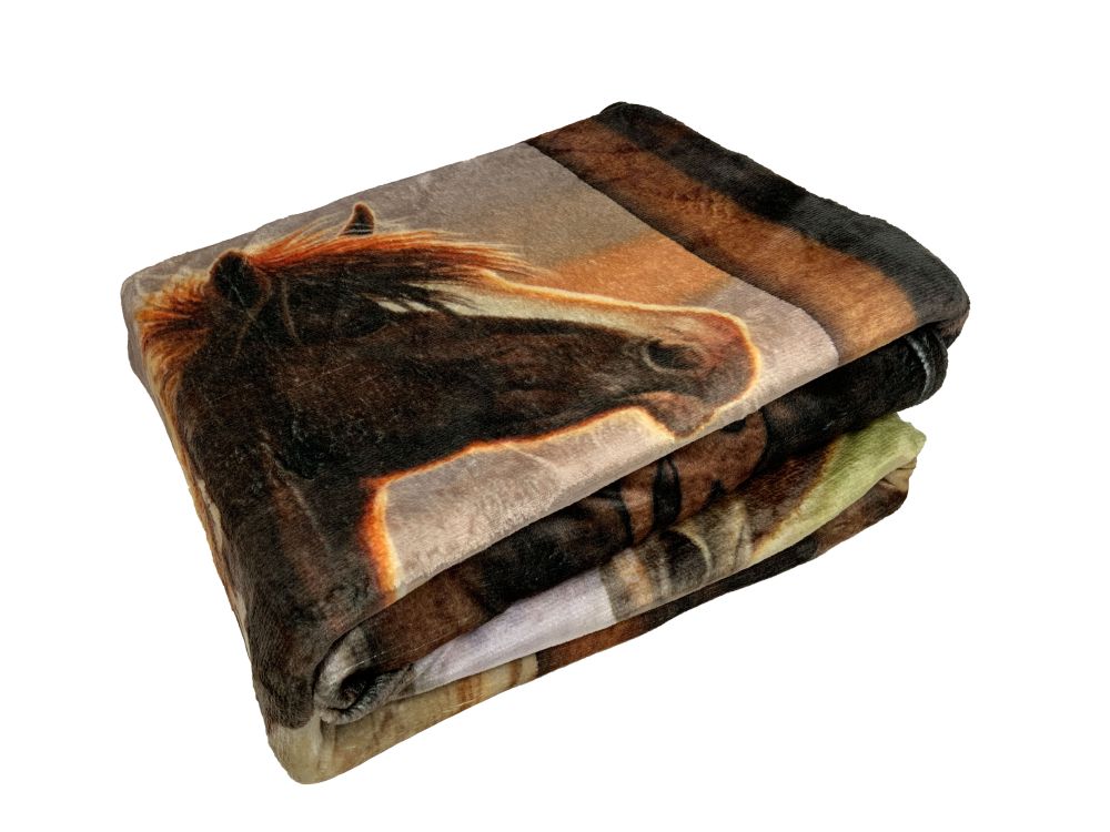 Queen Size Silk Touch Ultra Soft Blanket - Lucky in Love