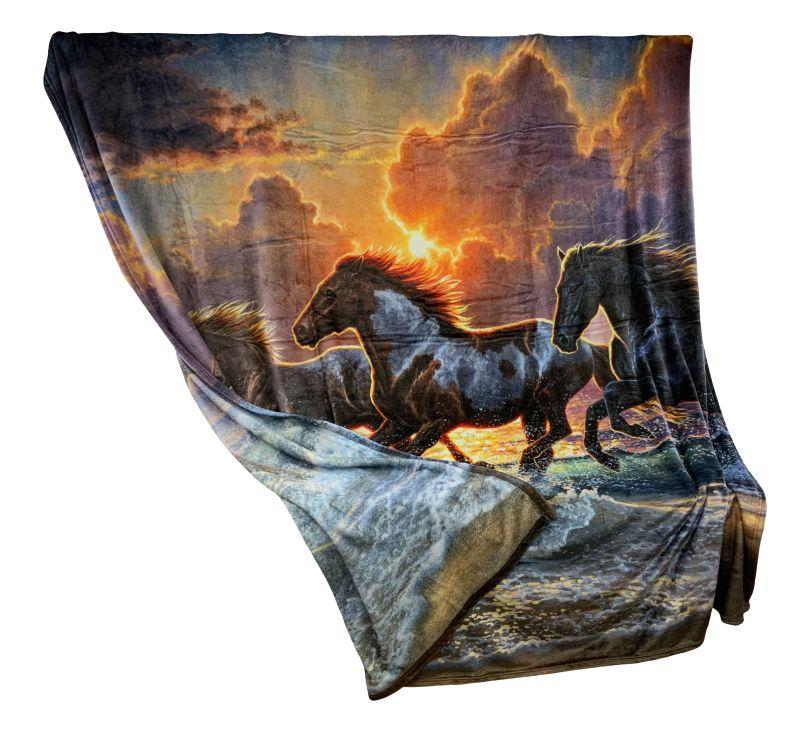 Queen Size Silk Touch Ultra Soft Blanket - Making Waves