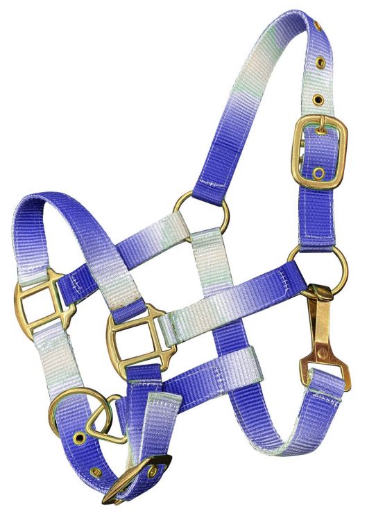 Showman Premium nylon Pony sized ombre halter with nickel plated hardware