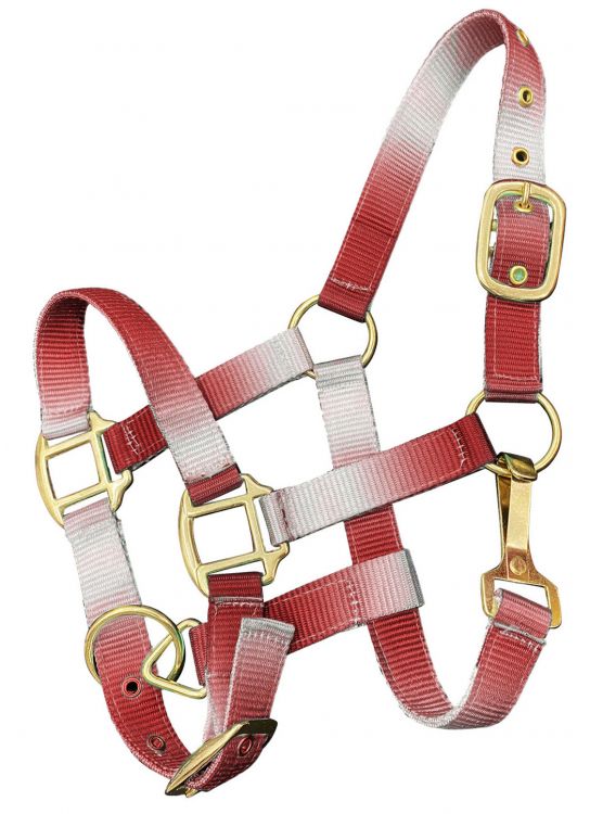 Showman Premium nylon Pony sized ombre halter with nickel plated hardware