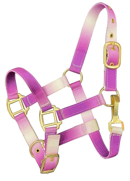 Showman Premium nylon Pony sized ombre halter with nickel plated hardware
