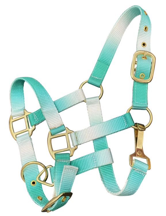 Showman Premium nylon Pony sized ombre halter with nickel plated hardware