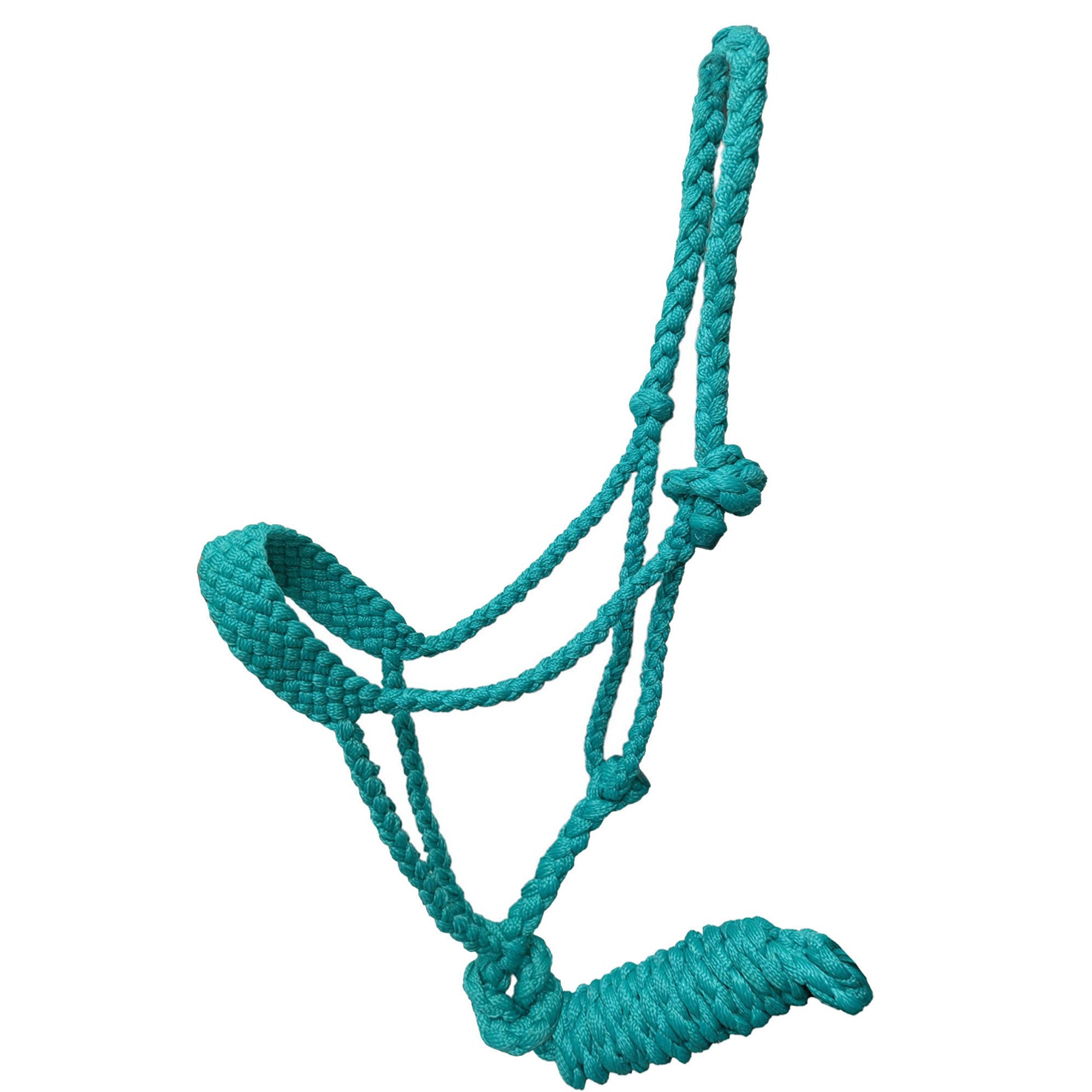 Showman Braided Mule Tape Pony Halter
