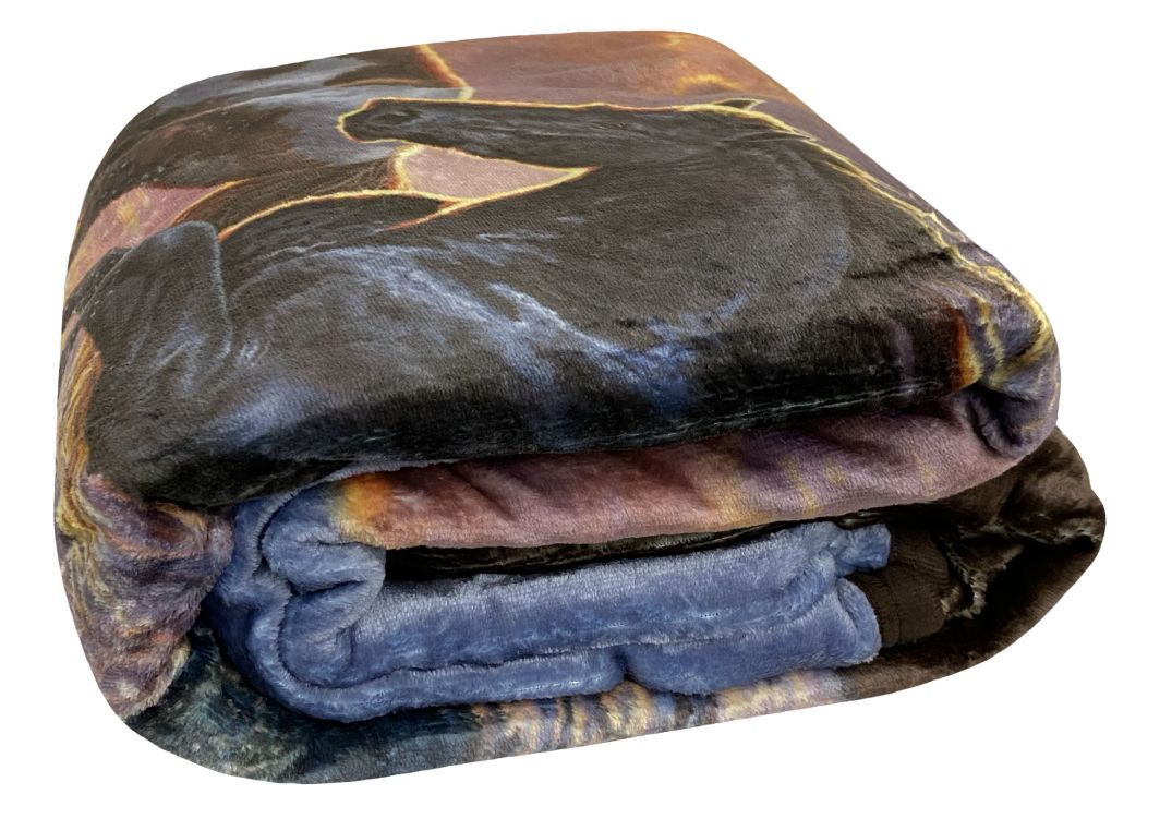 Against the Wind' Silk Touch Sherpa Lined Throw Blanket - 50" x 60"